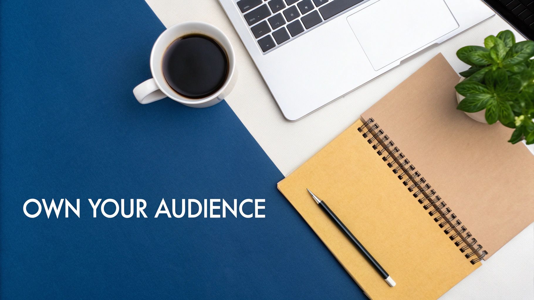 Laptop, coffee cup, spiral notebooks and green plant on modern workspace desk