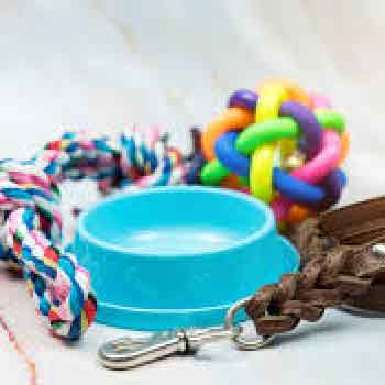 pet supplies Home Base Pet Business
