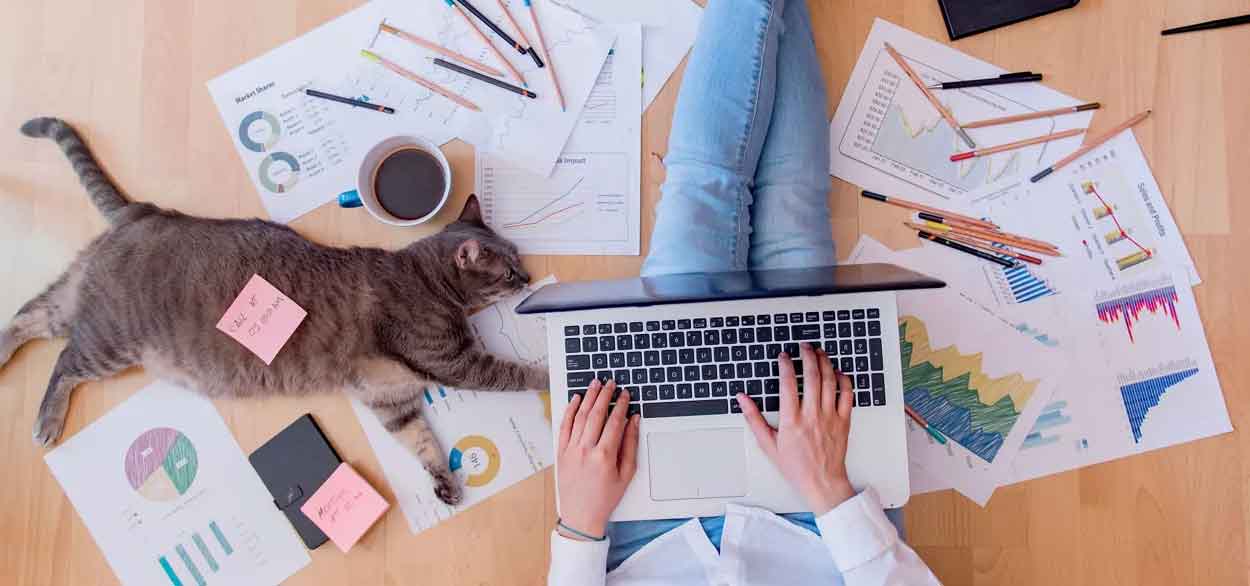working1 Pros and cons of working from home